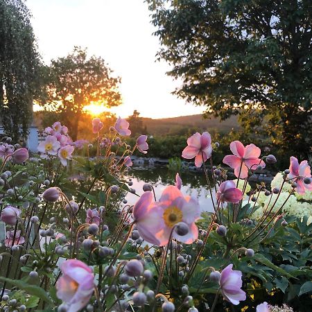 Dashausderfloristin Noertrange ภายนอก รูปภาพ